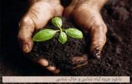 دانلود جزوه گیاه شناسی و خاک شناسی
